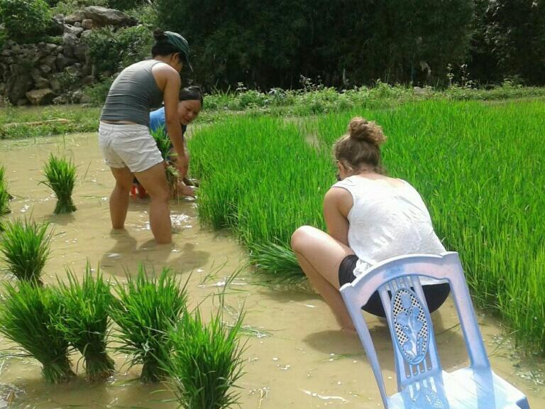 Yen Nhi Homestay Ban Gioc Cao Bang Exterior foto